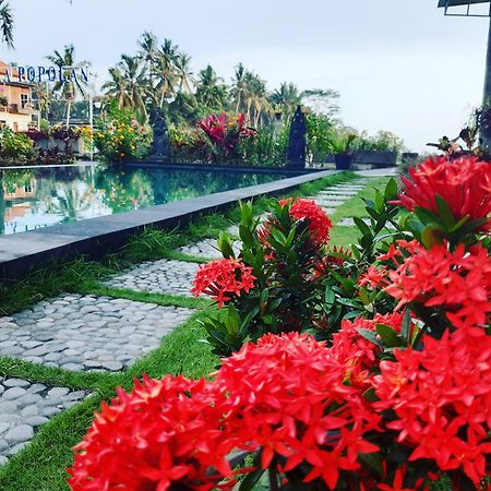 Villa Popolan And Guest House Ubud Zewnętrze zdjęcie