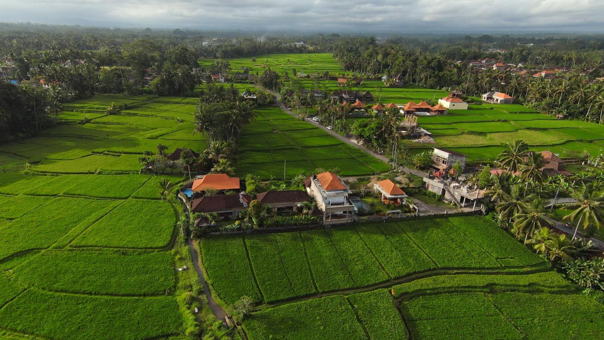 Villa Popolan And Guest House Ubud Zewnętrze zdjęcie